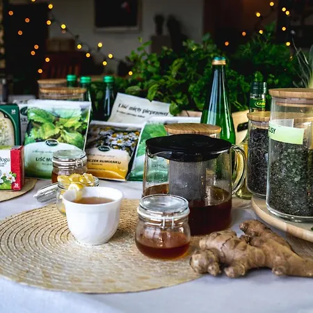 リゾート Wiking-osrodek Wypoczynkowo-szkoleniowy *