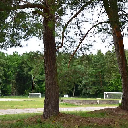 Wiking-osrodek Wypoczynkowo-szkoleniowy Resort