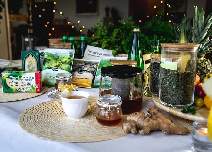 Курортный комплекс Wiking-osrodek Wypoczynkowo-szkoleniowy *