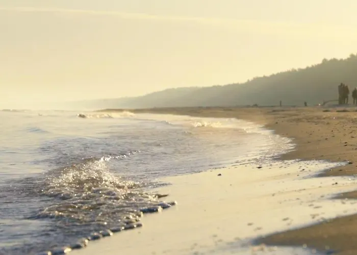 Курортный комплекс Wiking-osrodek Wypoczynkowo-szkoleniowy Янтар